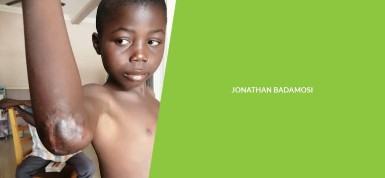 Read more about the article Jonathan Badamosi