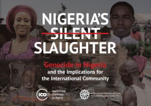 Read more about the article NIGERIA’S SILENT SLAUGHTER