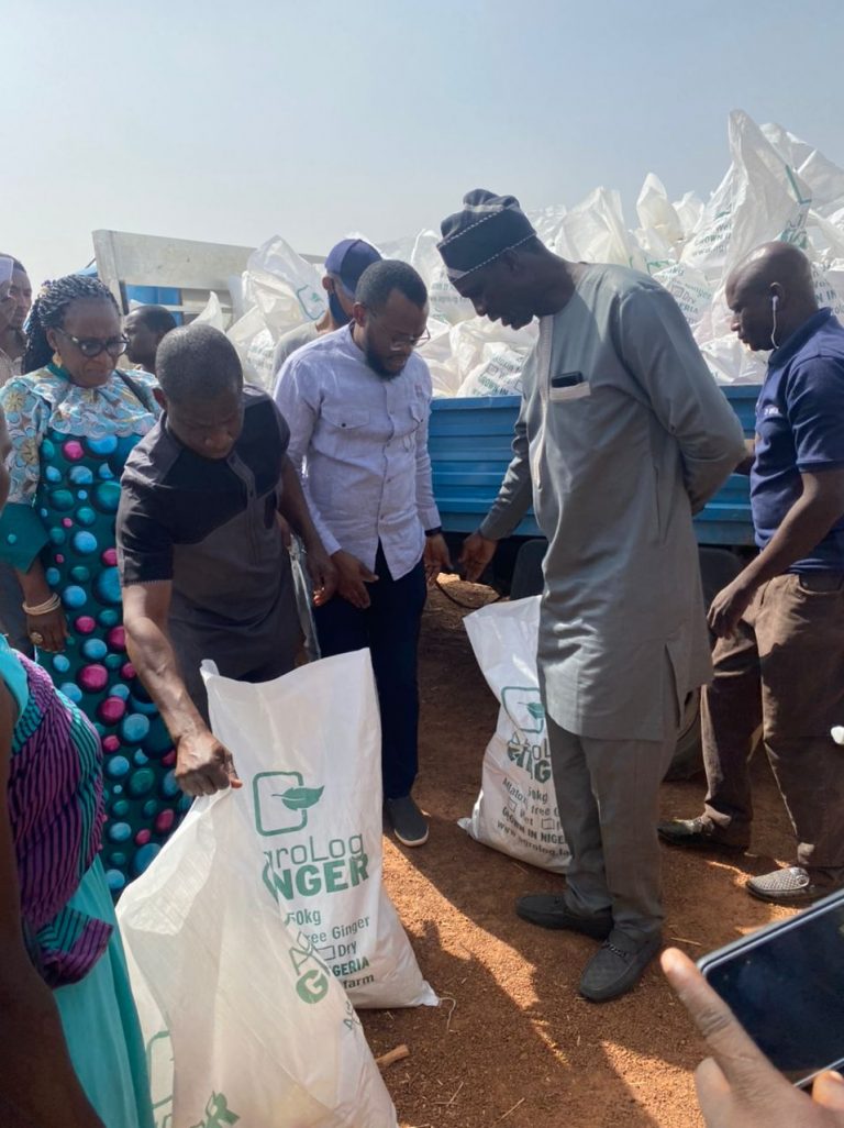 Read more about the article Relief bags delivered to IDPs in Gonin Gora